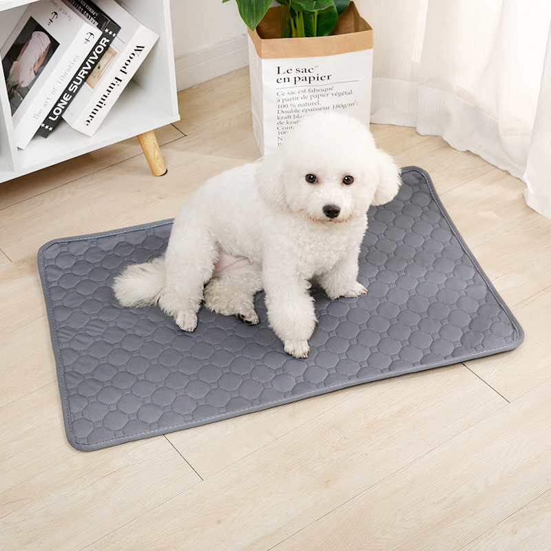 Wielorazowa mata na siłownię d – Mattress Protector Waterproof recenzja i cena